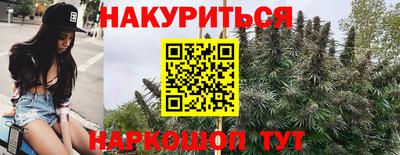 шишки Тара