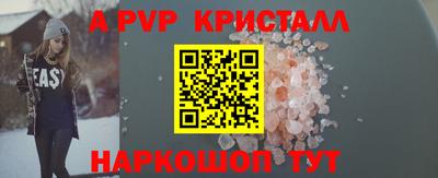 шишки Тара
