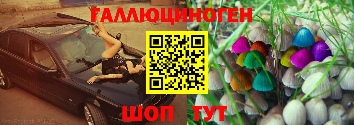 Псилоцибиновые грибы GOLDEN TEACHER  Вход с VPN  Нижний Тагил 